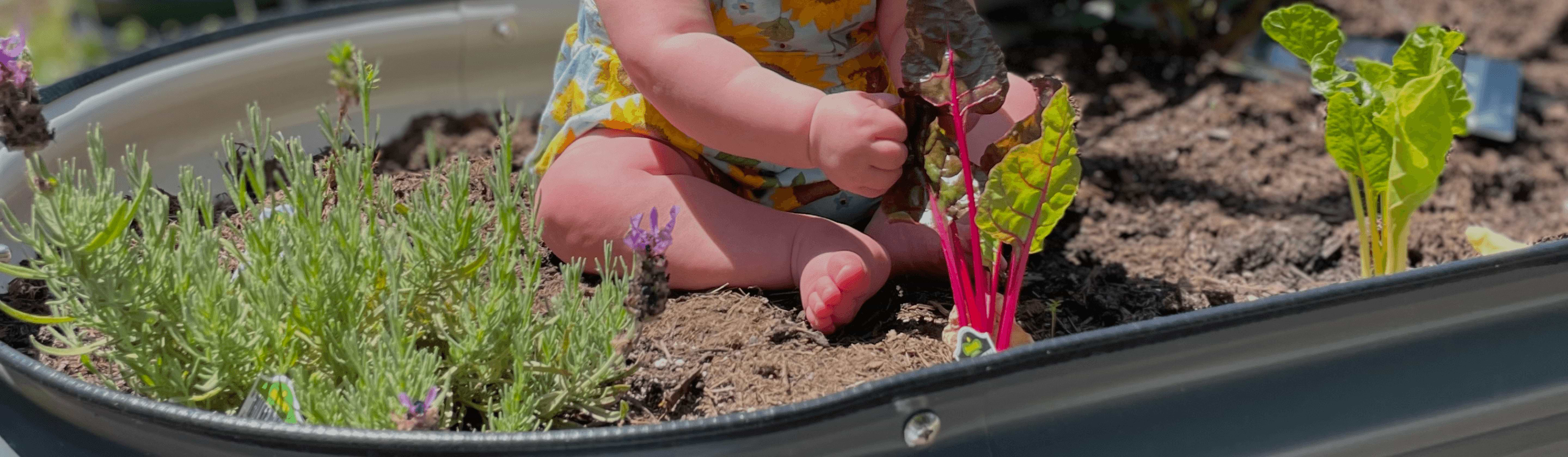 Vego garden beds