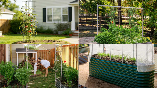 Vego garden beds