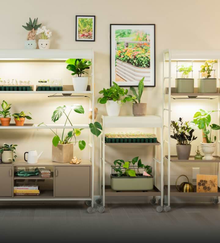 Indoor Gardening