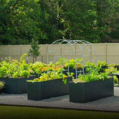 Modern Garden Beds