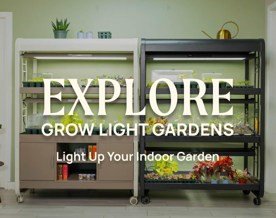 Vego garden beds
