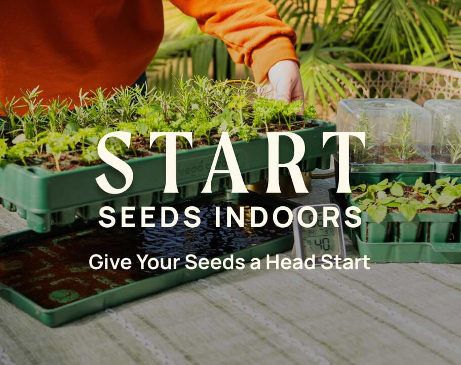 Vego garden beds