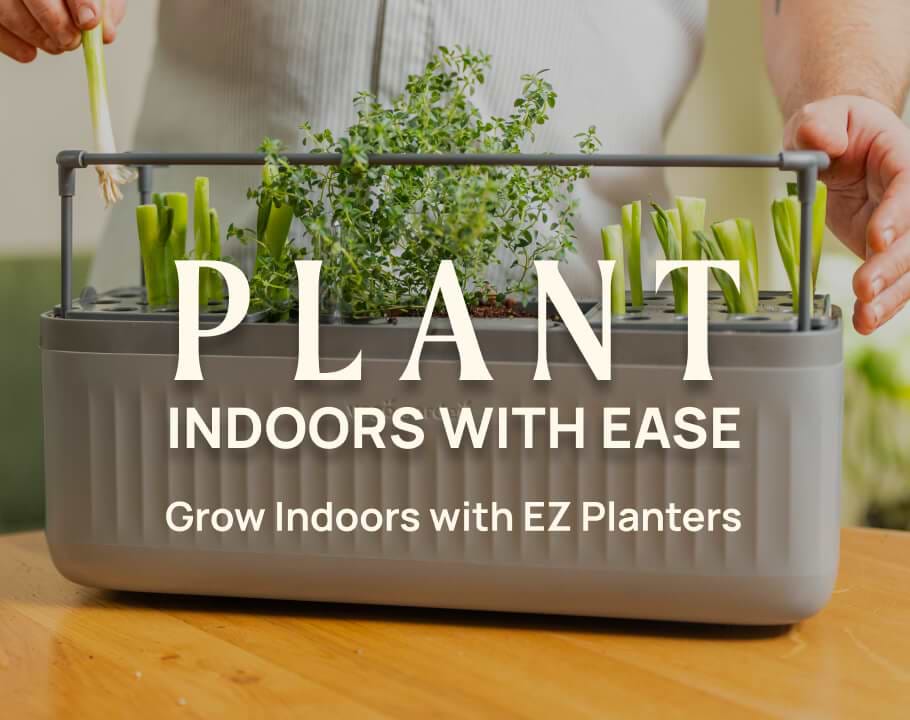 Vego garden beds