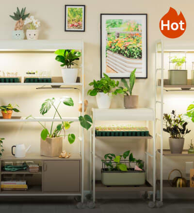 Indoor Gardening