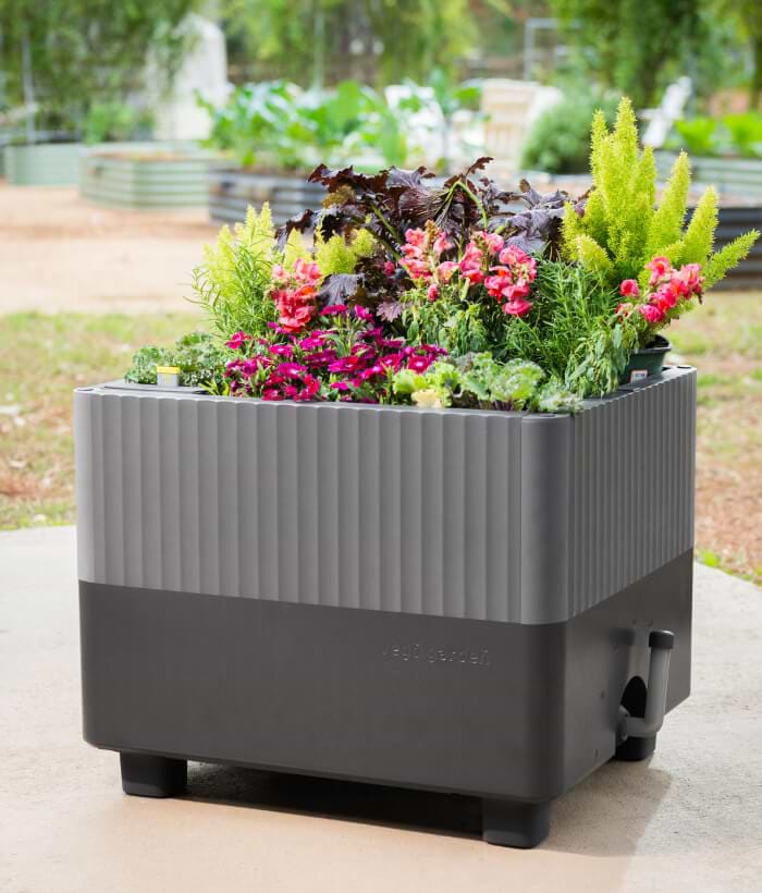 Vego garden beds