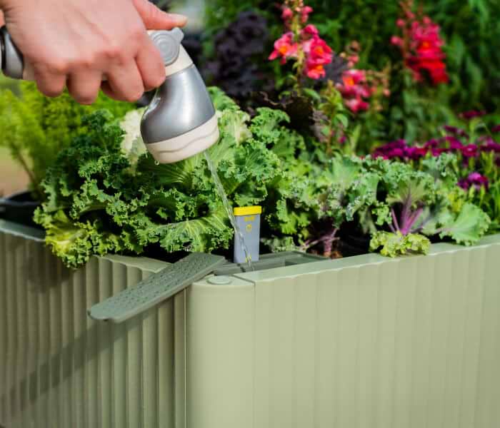 Vego garden beds