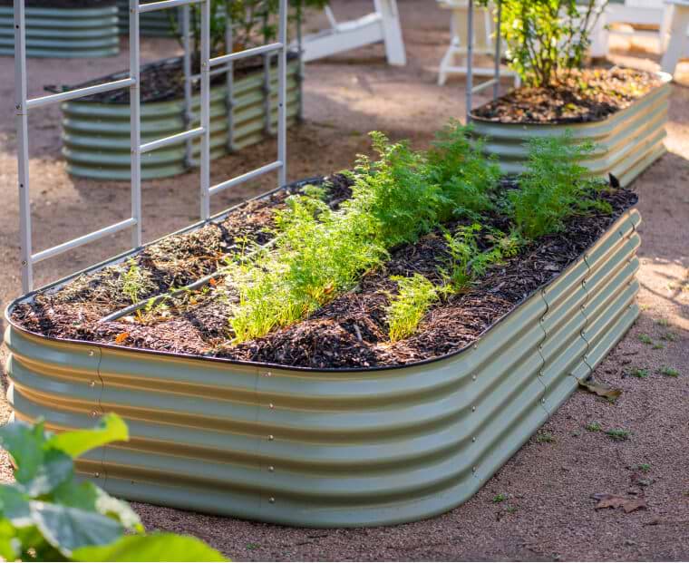 Vego garden beds