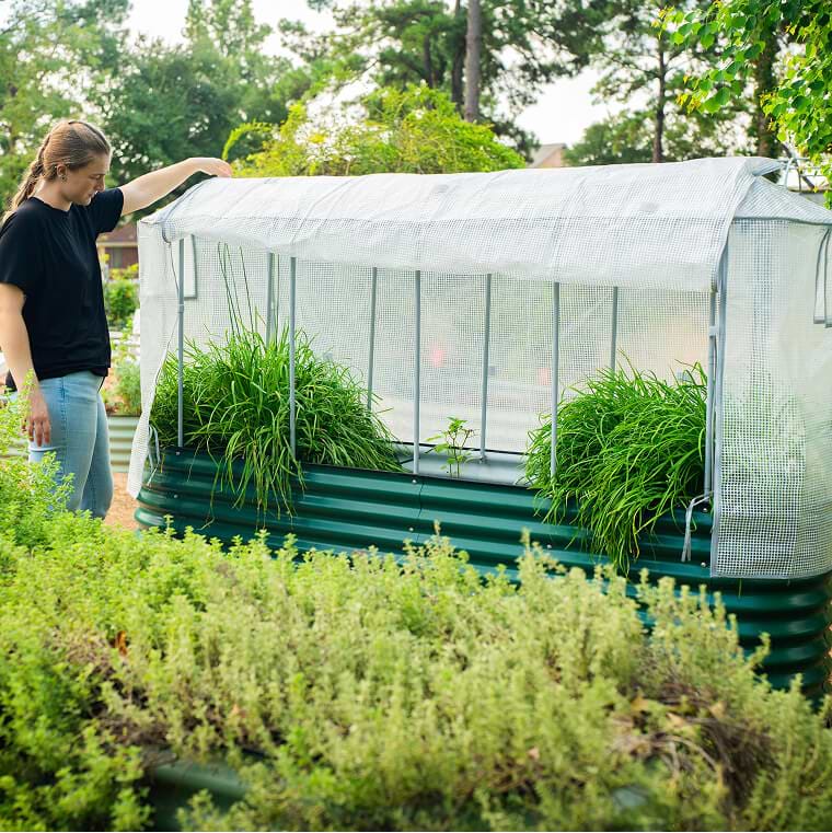 Vego garden beds