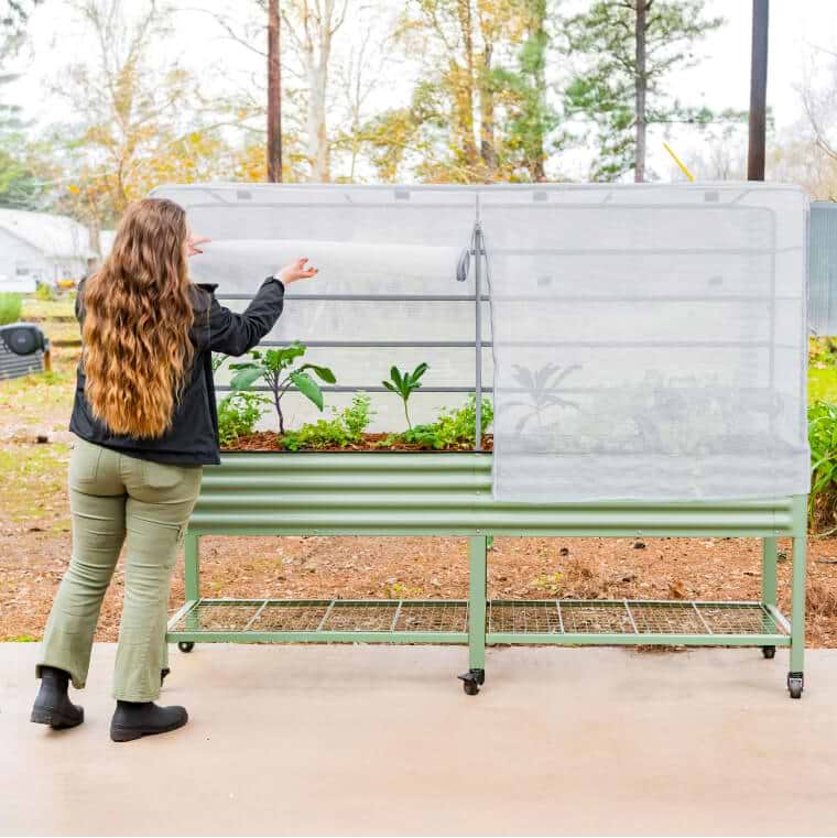 Vego garden beds