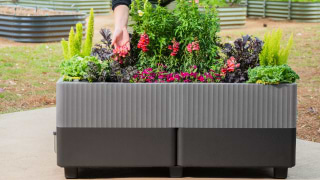 Vego garden beds
