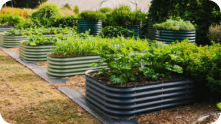Vego garden beds
