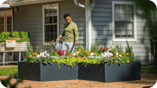 Vego garden beds